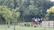 Un attelage avec deux chevaux transportant des personnes en calèche au sentier de la Baïse